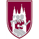 BC MBA 5K